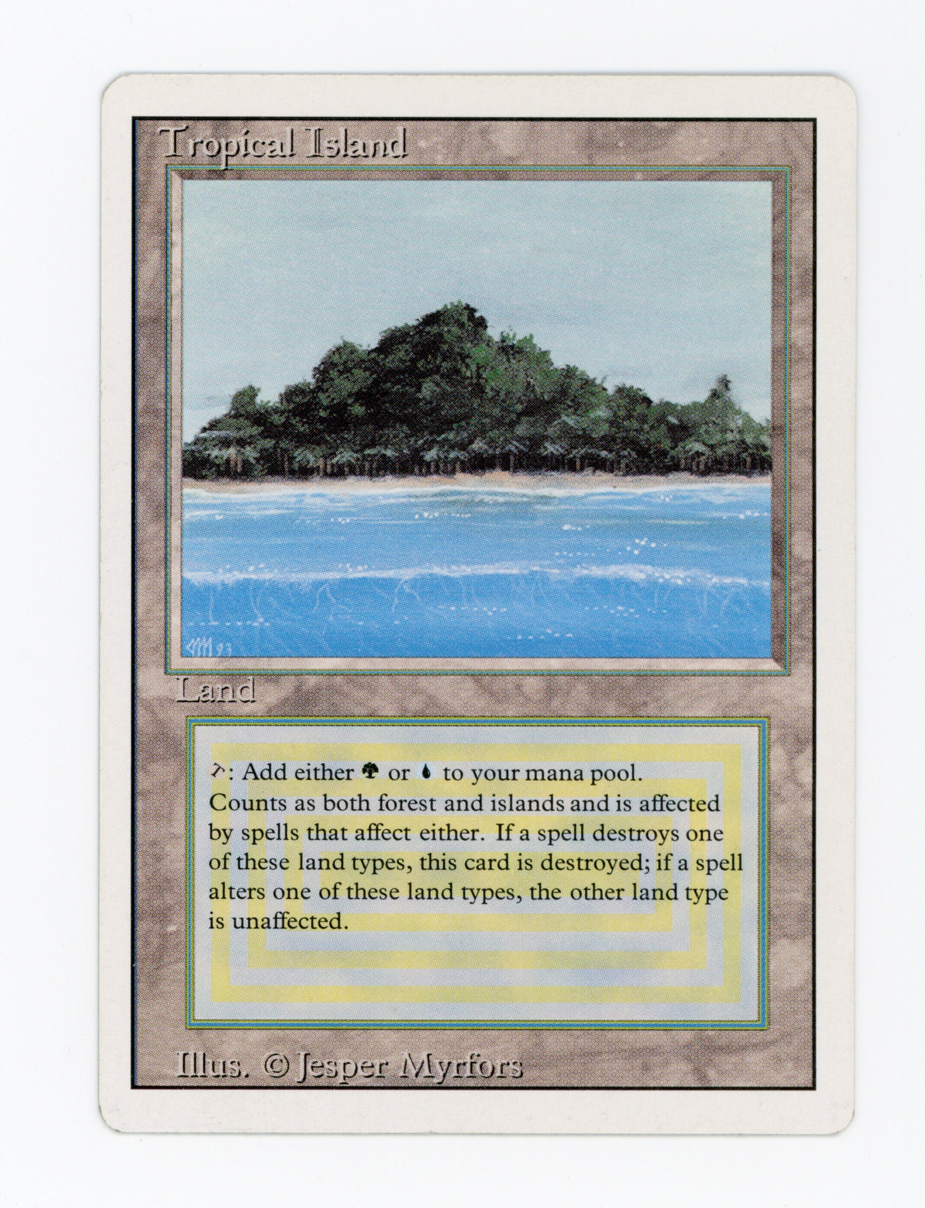 New Arrivals — Magic: The Gathering